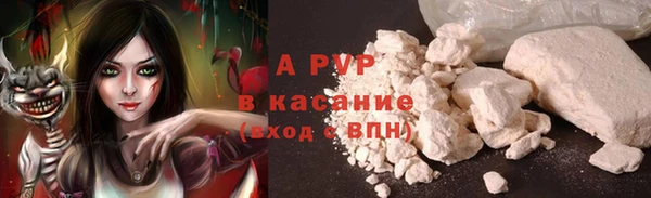 СК Заводоуковск
