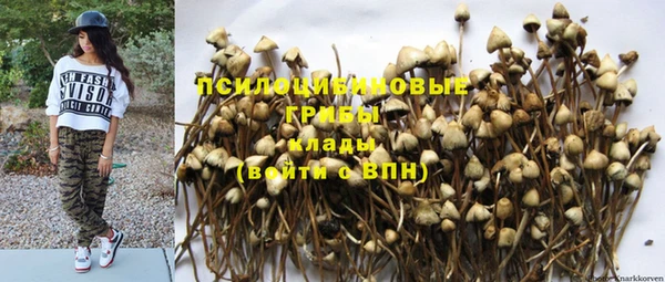 mdpv Заволжск
