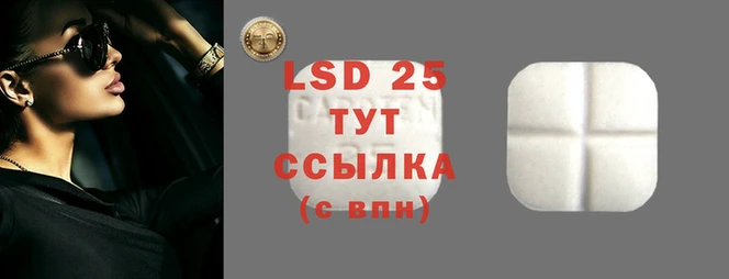 apvp Заволжье