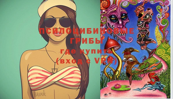 mdpv Заволжск